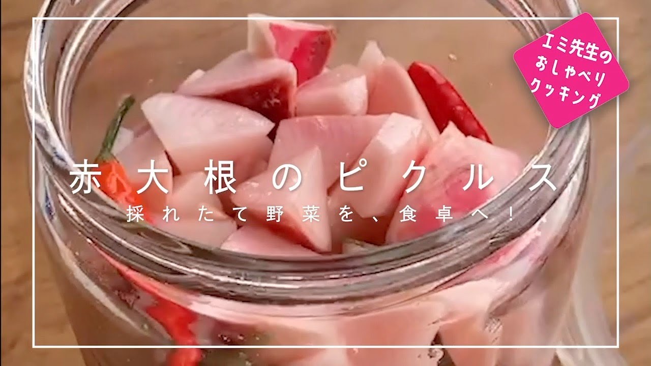 プロが教える家庭料理 採れたて赤大根のピクルス お酢少なくって出来るよ Youtube プロが教える家庭料理 採れたて赤大根のピクルス お酢少なくって出来るよ Youtube