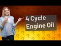 Can you use regular oil in a 4 cycle engine?