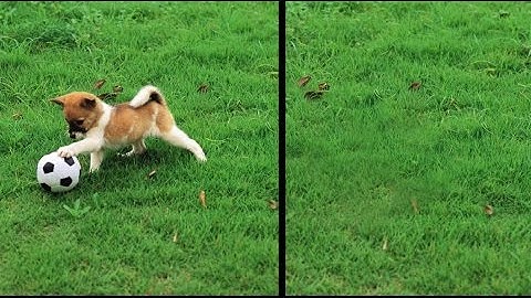 Xóa vật thể khỏi hình trong Photoshop - Minh Nguyệt