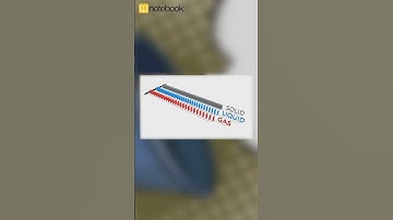 CBSE Class 9 Science – Chapter: Sound | Learn with Notebook 📚 | Easy, Fun & Visual!