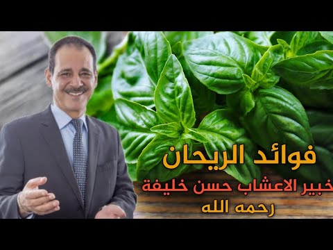 فوائد الريحان مع خبير الاعشاب حسن خليفة رحمه الله من الارشيف