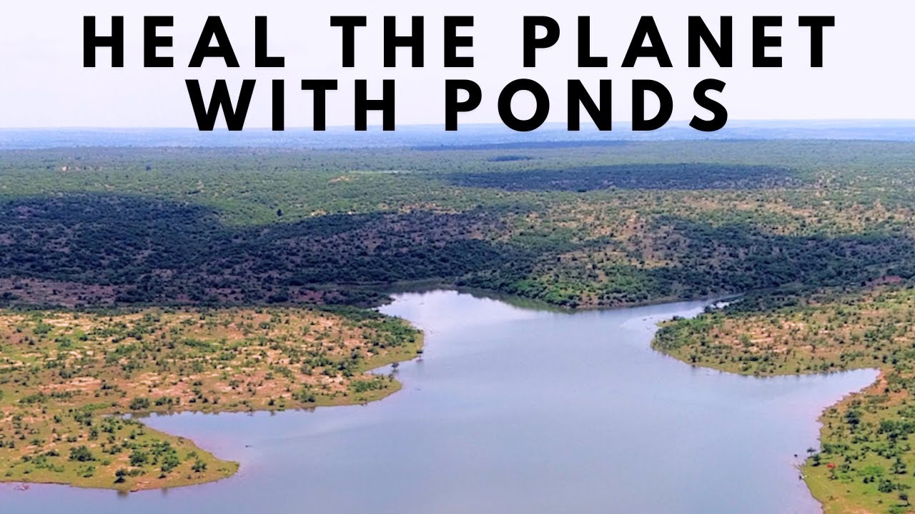 ⁣Heal the Planet with PONDS