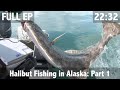Catching Giant Halibut