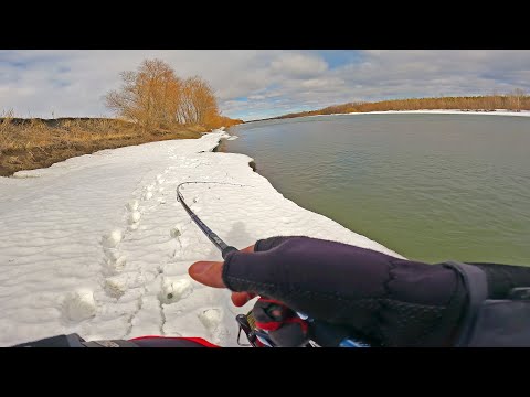 Рыбалка на Спиннинг ранней весной! УРА! ЕСТЬ ПОКЛВКА СУДАКА! Береговой джиг 2023