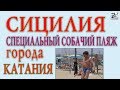 Необычный собачий пляж города Катания. Италия. Как собачки отдыхают на море.