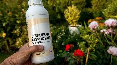 Dr Patrick Moore : " You can drink Glyphosate "