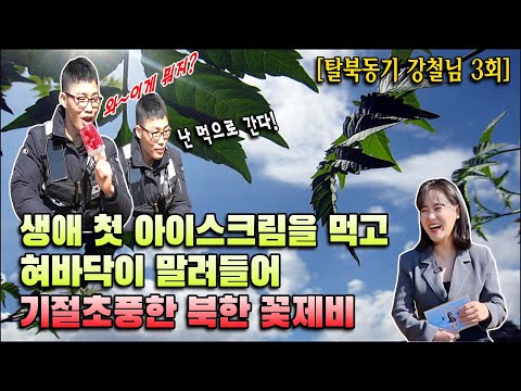 (탈북동기 강철님 3회) 생애 처음 아이스크림을 먹고 그 맛을 못 잊어 탈북하게된 북한 꽃제비!