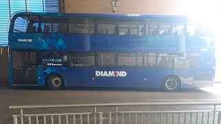 *VERY RARE ALLOCATION* Route 149 - Diamond Rotala (Redditch) 40850