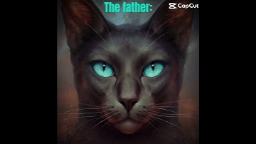 Warriors cats #jayfeather #leafpool #lionblaze #hollyleaf #crowfeather #breezepelt #notmine #capcut