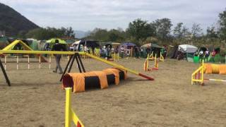 20161022 ロッティAG2