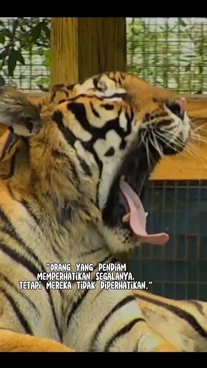 kata kata bijak. pendiam