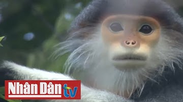 Bảo tồn đa dạng sinh học vì mục tiêu phát triển bền vững