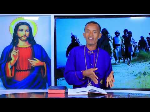 Lallaaba B Saa Abdiisaa Tashoomaa Har Aa Ilee Namoota Si Duuka Bu An Addaan Bafaadhu