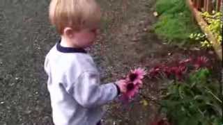 Talking to flowers