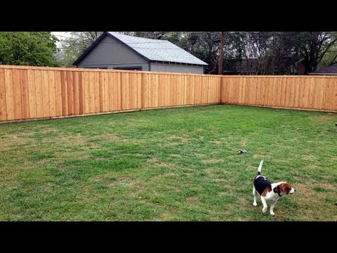 Our Adventure Building a Western Red Cedar Privacy Fence in Dallas, TX