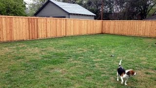 After many years of hating our old chain link fence we decide to build a fence ourselves. Follow us on our journey on the process of 