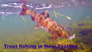 #waikarimoana Fly Fishing and Spinning for Big Brown & Rainbow in NZ part 71
