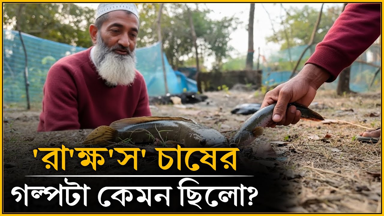 কোন প্রাণীটা ৮-১০ হাজার বাচ্চা দেয়? | চলতি কৃষি