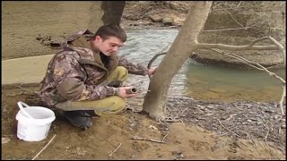 How To Set Dog Proof Coon Traps