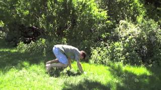 Famous FALL SAFELY - Short Falls, Forward Rolls, Macako Net Worth