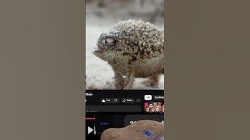 whoever made this needs some sort of award