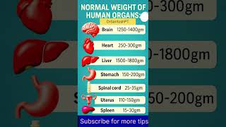 मानव शरीर के अंगों का सामान्य वजन | Human Organs Weight Facts | Medical Facts #shorts #healthtips