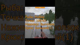 Троф. рыбец #shorts #русскаярыбалка4 #водоем #рыба #рыбалка #советы  #рр4 #новичкам #трофеи  #фидер