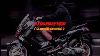 Download lagu DJ HORNAY MGD SOUND JJ VIRAL TIK TOK 2023 (SLOWD REVERB)