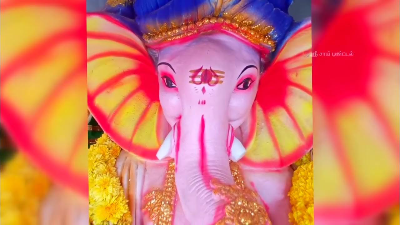 VINAYAGAR CHATURTHI CELEBRATION TAMILNADU NAGAPATTINAM YouTube