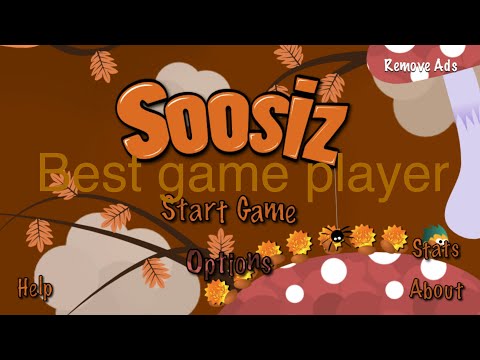 Soosiz blue coins 6