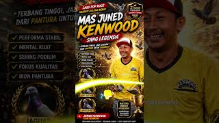 LAGU MAS JUNED KENWOOD SANG LEGENDA 🕊️ Lagu Pop Rock Anak Merpati Indonesia #teamkenwood