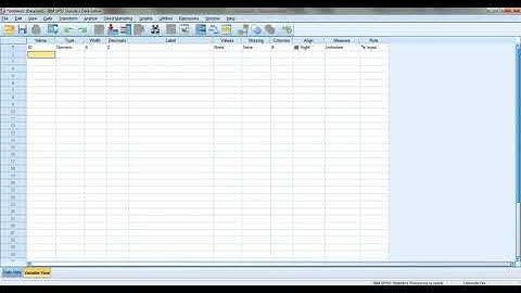 SPSS Session 1 Introduction