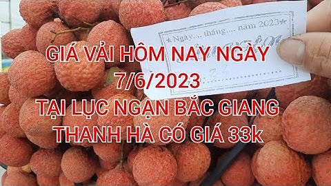 GIÁ VẢI HÔM NAY -TẠI-LỤC NGẠN- BẮC GIANG -NGÀY 7/6/2023 Vietnamese lychee