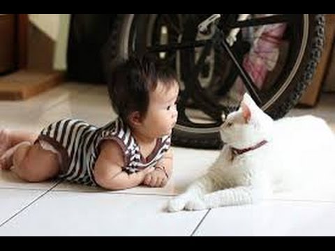 lucu bayi 1thn menirukan suara kucing bikin gemezz lucu bayi 1thn menirukan suara kucing bikin gemezz