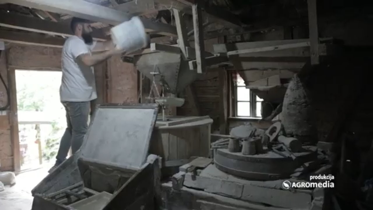 Proizvodnja brašna kao nekad! ‒ 150 godina stara vodenica u Vrmdži uspešno radi i privlači turiste
