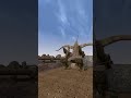Killing the adoring fan in Morrowind every day until Skywind and Skyblivion are released Day - 599
