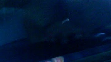 Transformers titans return