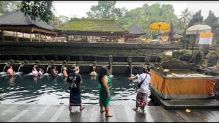 Bali Private car Rental with Driver #kuta #bali #indonesia