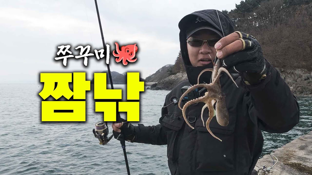 Ловля зимних кальмаров и поедание лапши рамэн на острове недалеко от мегаполиса (при участии Иппадо)