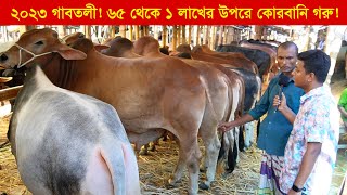 ৬৫ থেকে ১ লাখের উপরে কোরবানি গরু ! গাবতলী হাট 2023|| Gorur haat 2023 || কৃষি ঘর