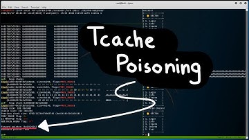 Remote Code Execution via Tcache Poisoning - SANS SEC 760 "Baby Heap" CTF