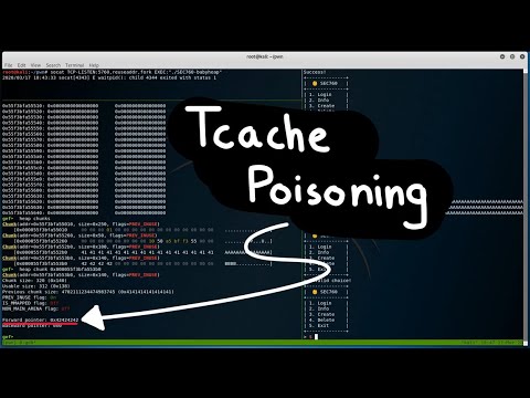Remote Code Execution via Tcache Poisoning - SANS SEC 760 "Baby Heap" CTF