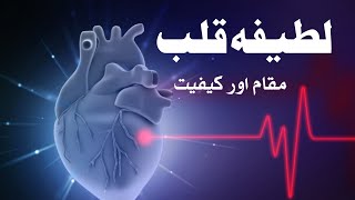 Latifa E Qalbلطیفہ قلبLatifa E Qalb Kese Jari Hota Hdarse Tasawwuf