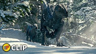 Blue Protects Beta From Poachers Scene Jurassic World Dominion 2022 Movie Clip Hd 4K