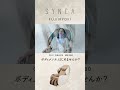 CirC GRACE　マッサージチェア L24　MR380　feb_MR380_tate_6sec【フジ医療器公式】
