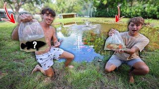 STOCKING NEW BACKYARD POND WITH MONSTER COLORFUL FISH!