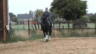 Cherise 22062011