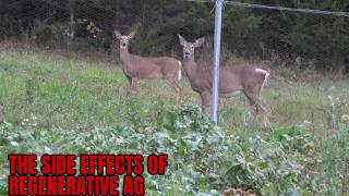 The Side Effects of Regenerative Ag
