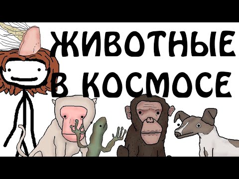 "Животные в космосе" - Академия Сэма О'Нэллы (Русская Озвучка Broccoli)