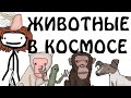 "Животные в космосе" - Академия Сэма О'Нэллы (Русская Озвучка Broccoli)